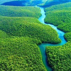 Descubra a natureza exótica de Manaus com a ajuda de Jordana Azevedo Freire