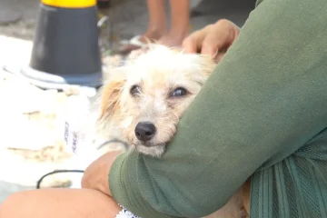 VetMóvel traz amor e cuidado gratuitos para os animais do Bom Jardim