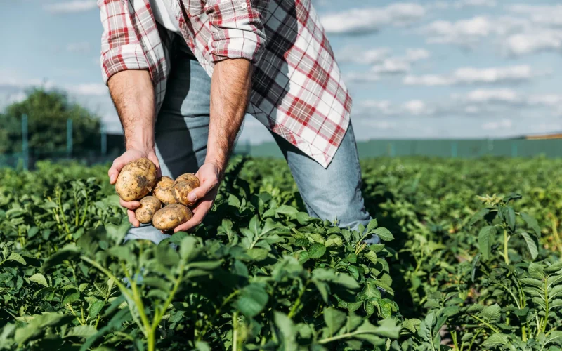 Glenis Gomes Steckel destaca a agricultura sustentável como caminho para alimentar o futuro