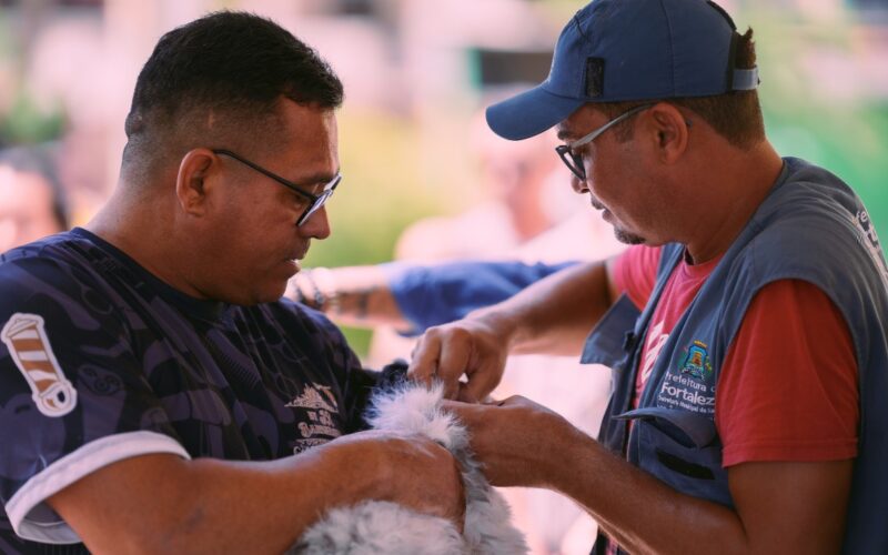 Confira os locais onde cães e gatos serão vacinados neste sábado em Fortaleza