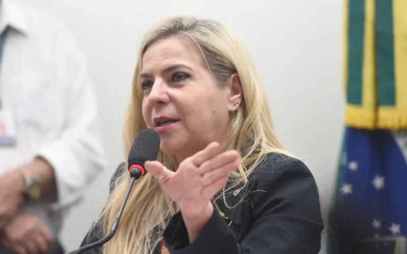 Luizianne Lins retorna ao Brasil após experiência dramática em missão humanitária na Palestina