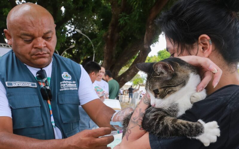 Fortaleza promove terceiro Dia D da Campanha de Vacinação contra a Raiva no sábado (29) – Confira os pontos de vacinação