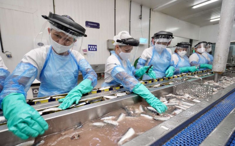 Economia cearense cresce acima da média nacional em 2025, com expansão de 2,87% no PIB