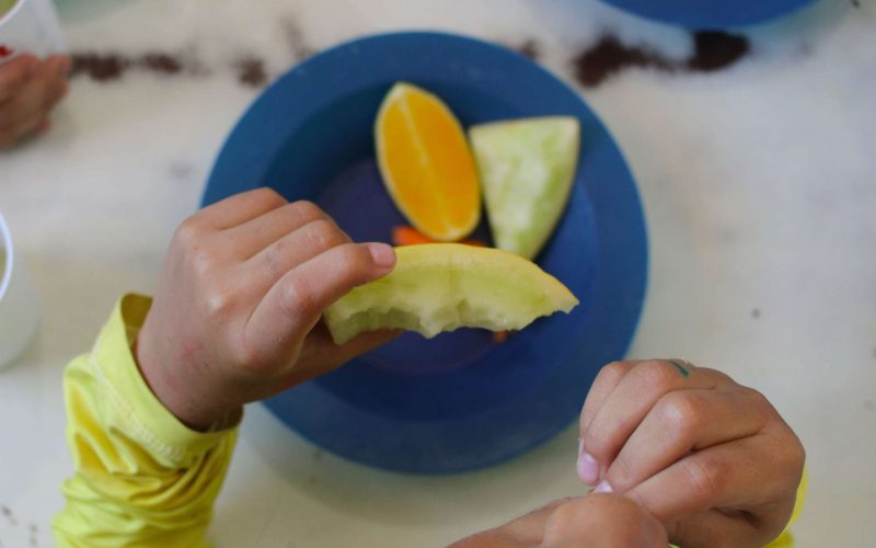 Ceará estabelece regras claras para banir alimentos ultraprocessados nas escolas; veja a relação completa