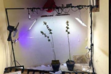 Suspeito é detido em residência com estufa para cultivo de entorpecentes em Fortaleza