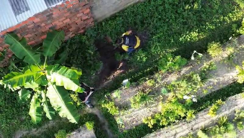 Entulho de hortaliças revela esconderijo de drogas em Fortaleza